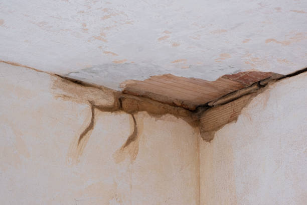 Best 24/7 water damage repair  in Benson, MN