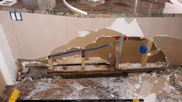 Best Mold removal after water damage  in Benson, MN