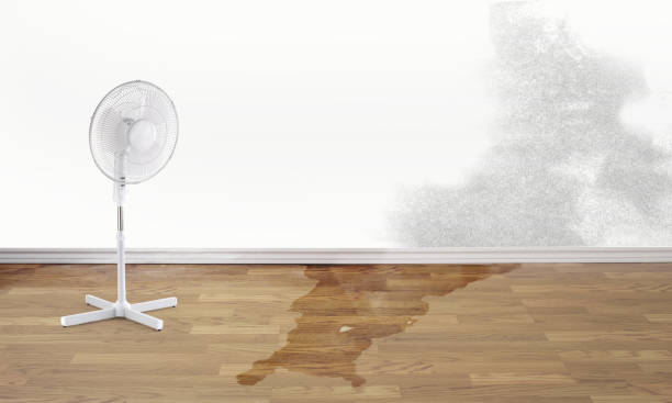 Best 24/7 water damage repair  in Benson, MN